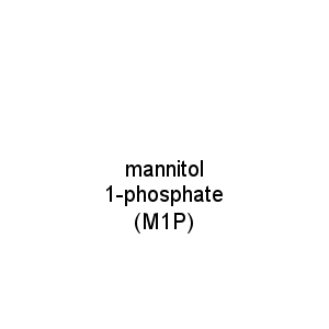 mannitol 1-phosphate (M1P)